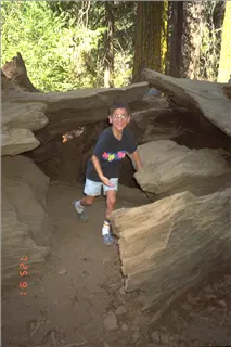 small_9400 0654 wdc yosemite ca hiImg0017.webp